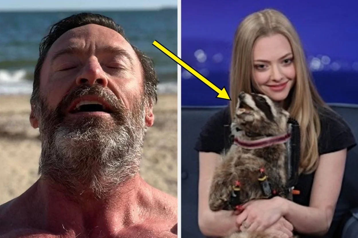 Hugh Jackman, Amanda Seyfried, And 16 Other Celebrities That Are Allegedly Sooooo Much Stranger Than We Think
