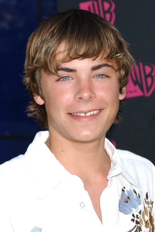 Zac Efron on the red carpet