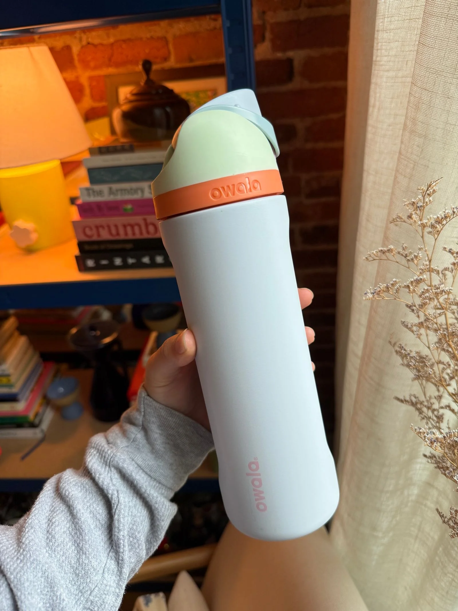 owala freesip water bottle