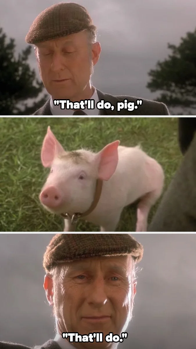 Hoggett tells Babe "That'll do, pig, that'll do"