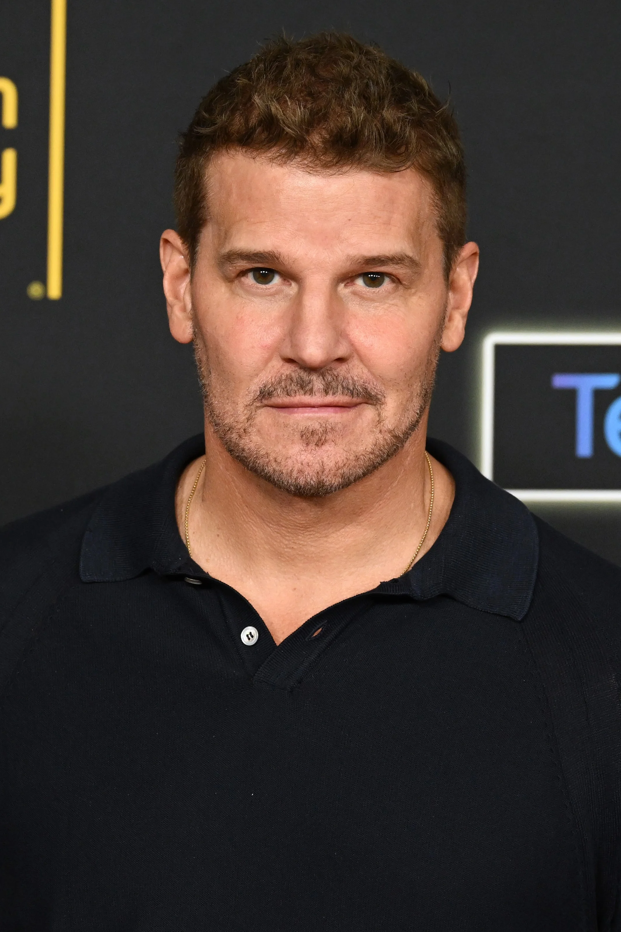 A person stands at a Television Academy event, wearing a casual polo shirt against a backdrop with the "Televerse" logo