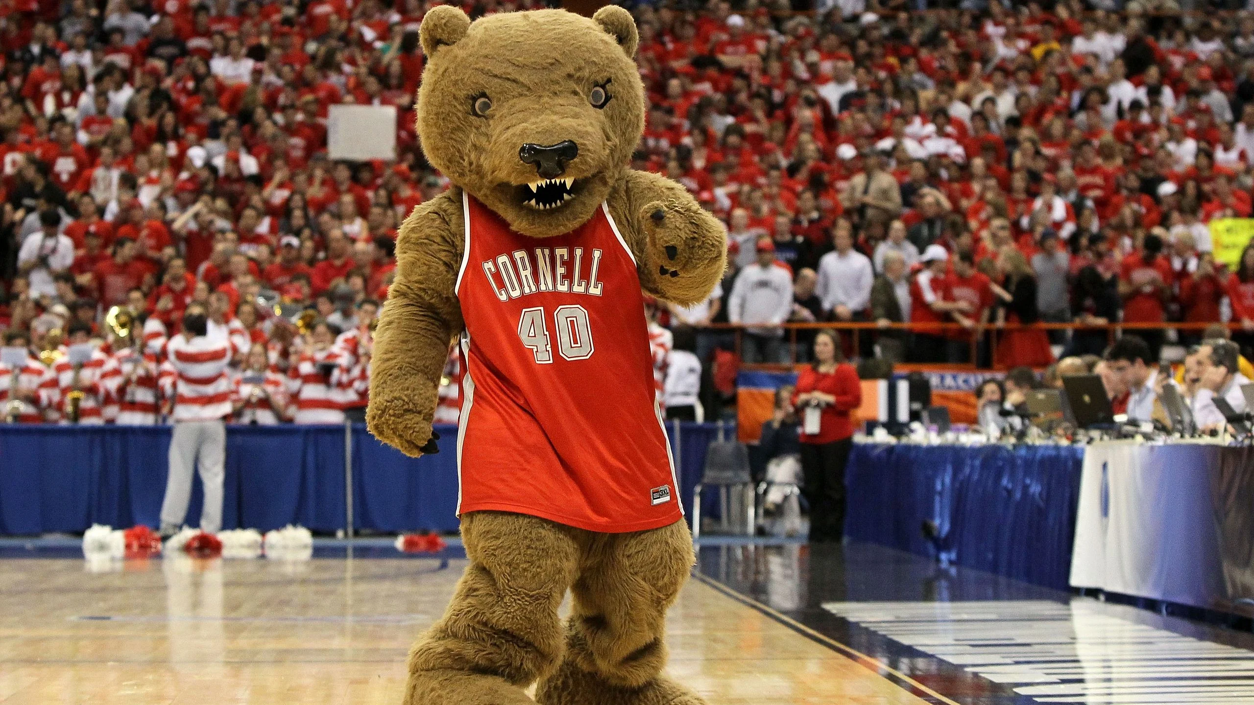 Cornell Touchdown Bear Mascot at the packed Cornell vs Kentucky MBB