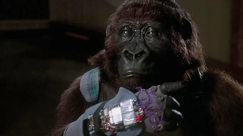 Amy with her communication glove in Congo