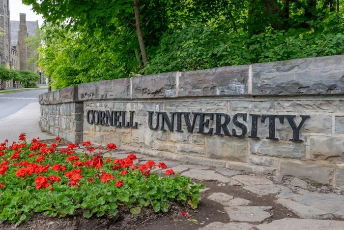 Cornell University sign on a stone wall with red flowers and green plants in front